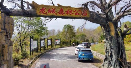 龙城森林公园