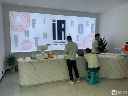 IR 无限玫瑰(爱必达三亚城市中心仓)
