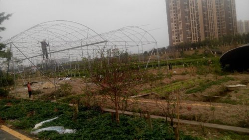 荔湾区海北东石桃花公园旅行图片 1