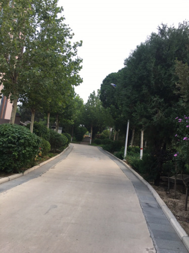 赵邱公园旅行图片 2