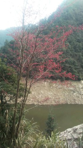 三关胜境旅行图片 1
