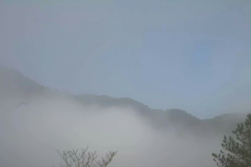 大埔蜜柚公园旅行图片 1