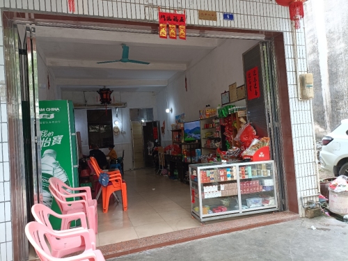 屯昌春运副食店