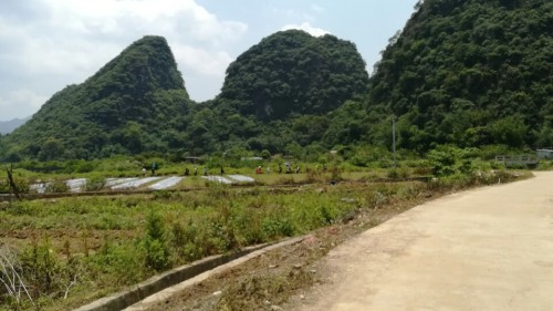 黄花公园旅行图片 2