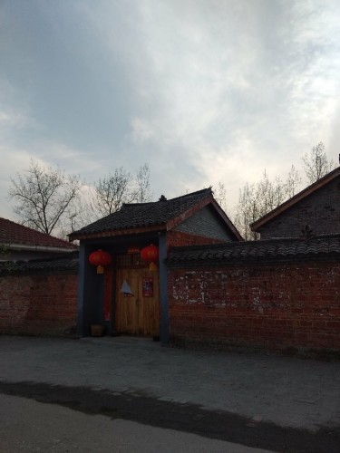 信阳明港新集村百亩油菜园旅行图片 3