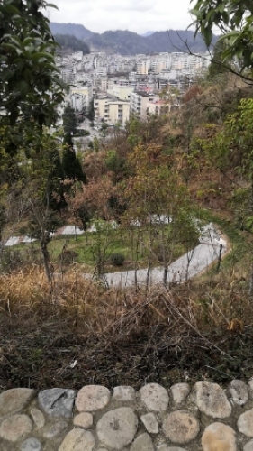 缙云阁旅行图片 2