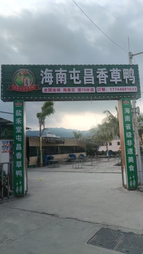 海南屯昌香草鸭(林旺店)