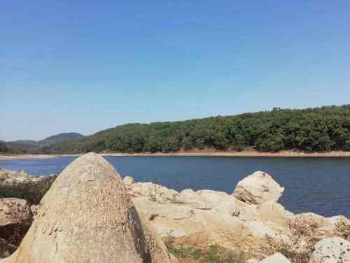 卧龙山公园旅行图片 3