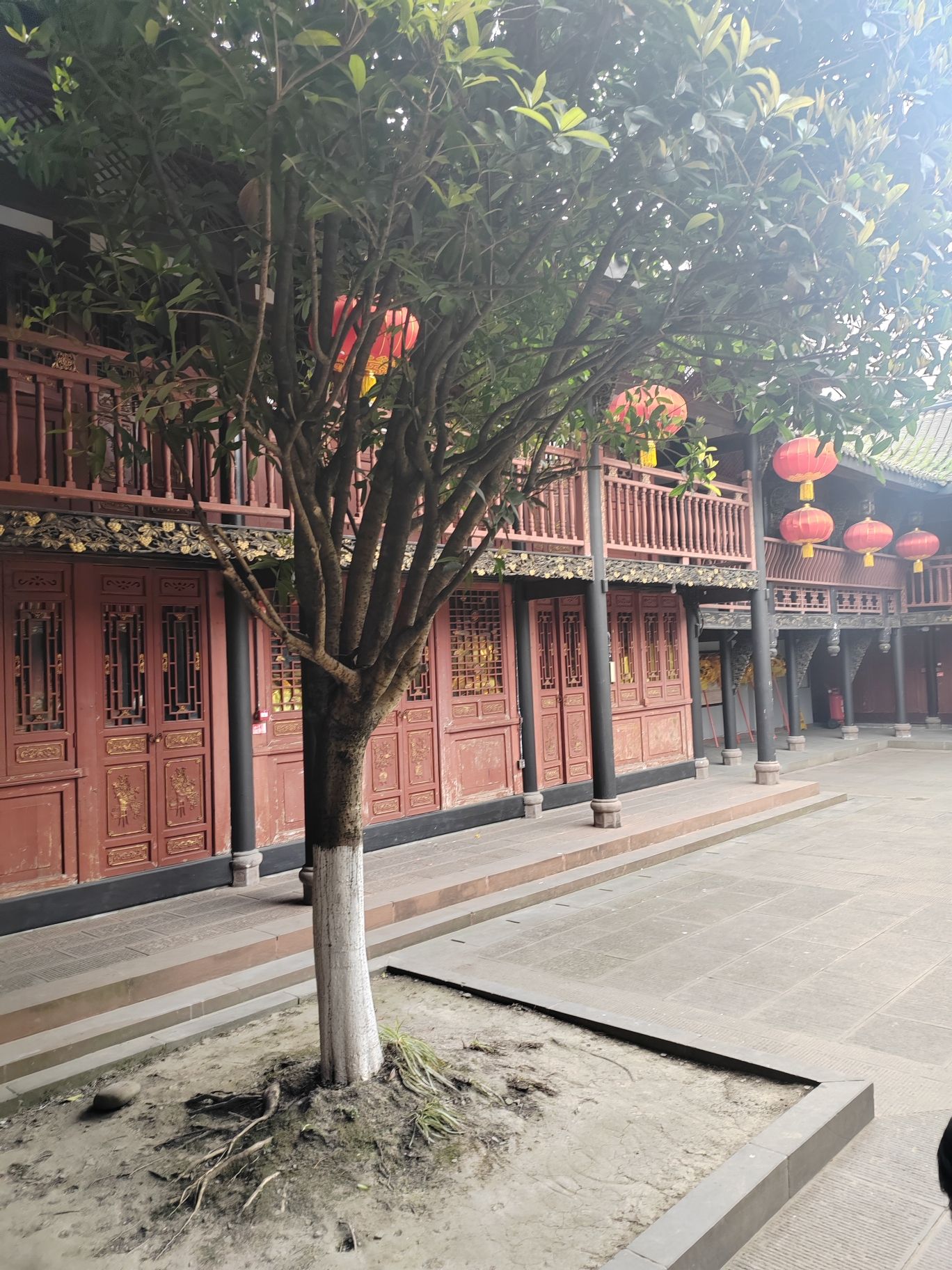龙驹寺实景照片