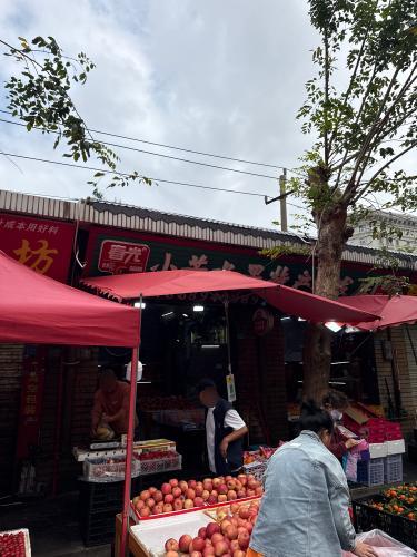 春光小芳水果特产批发店