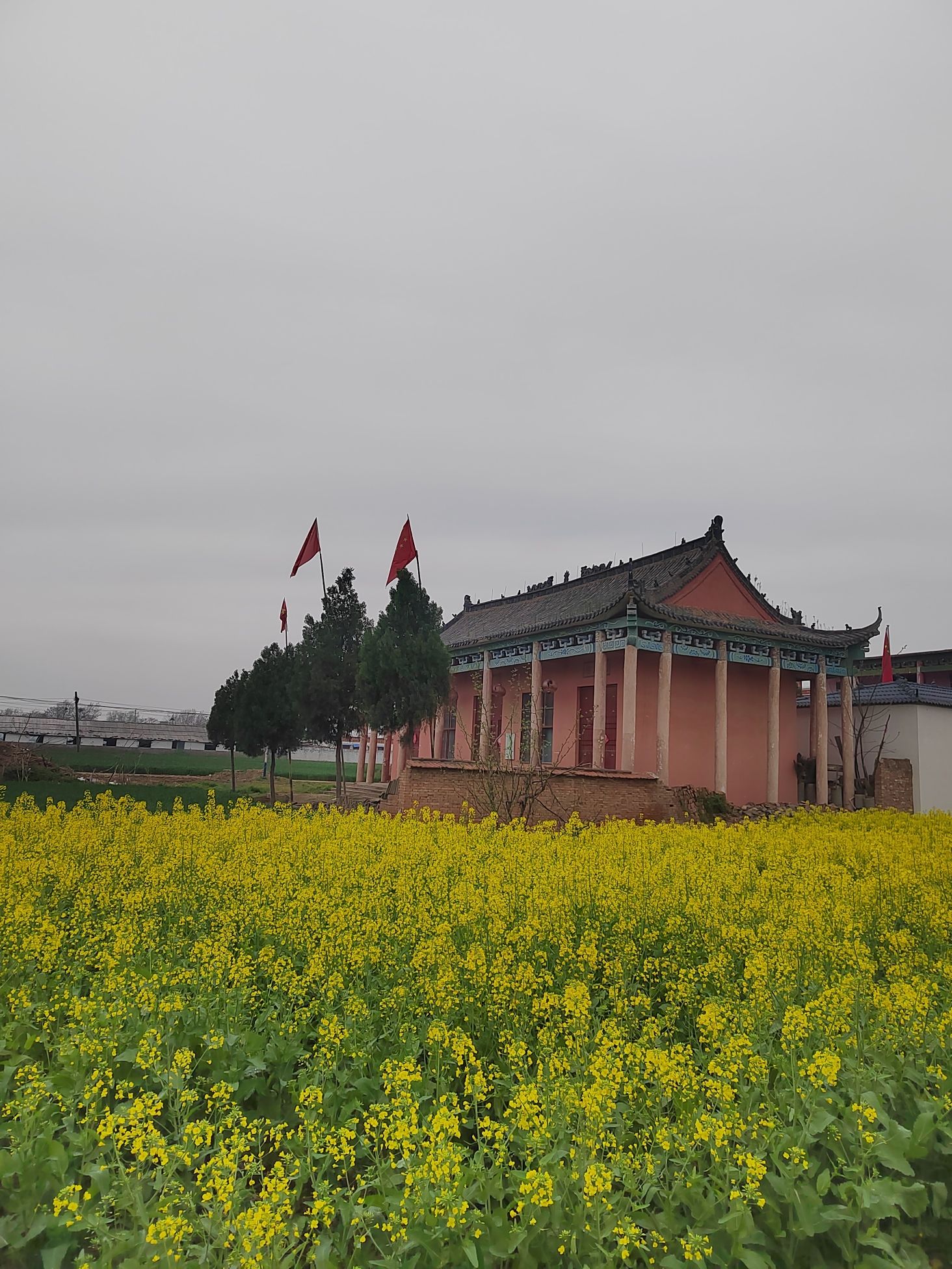 杨村三官庙实景照片