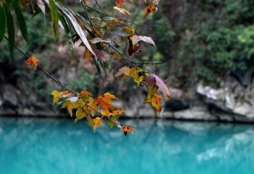 盘阳河风光旅行图片 1