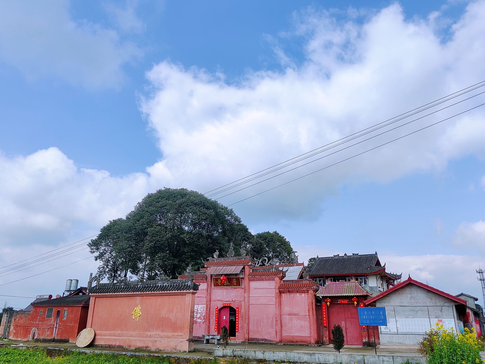 普照寺实景照片