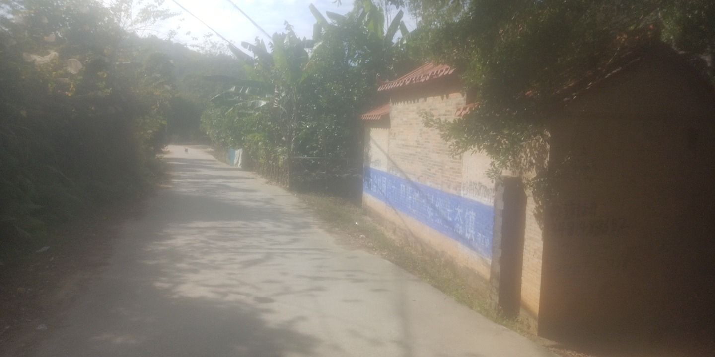 阿俣总庙实景照片