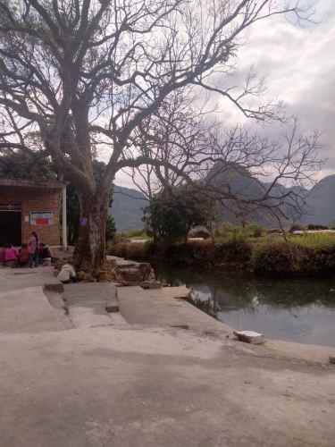 于成龙古道旅行图片 2