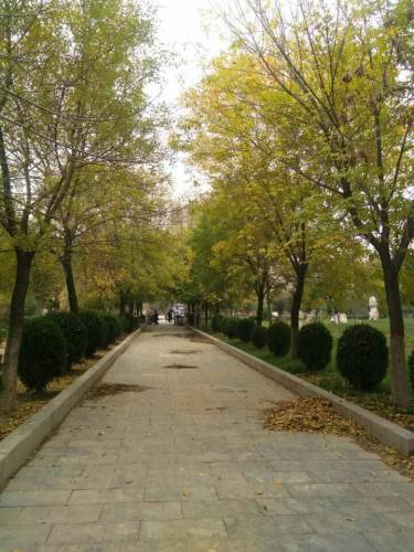 万福公园旅行图片 3
