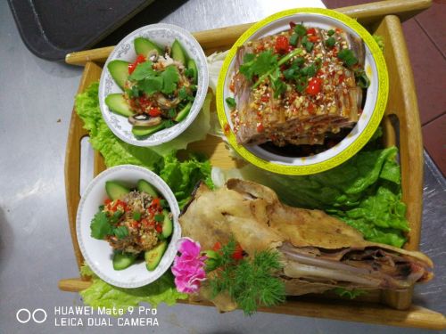 马成虎手抓美食城