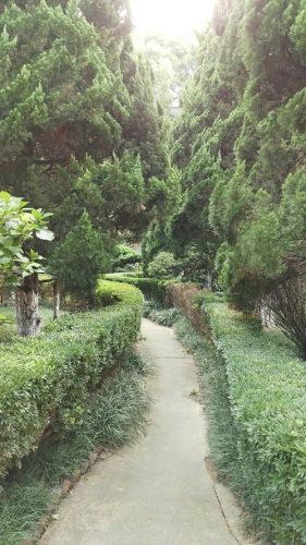 颐园旅行图片 3