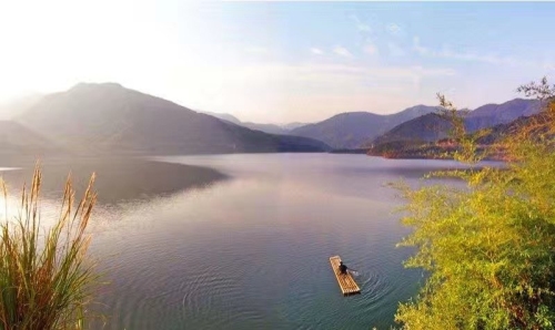 蚂蚁森林1号林·梭梭旅行图片 1