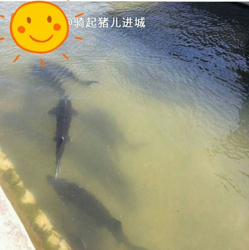 明月山温泉公园旅行图片