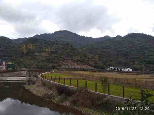 大莱梯田旅行图片 1