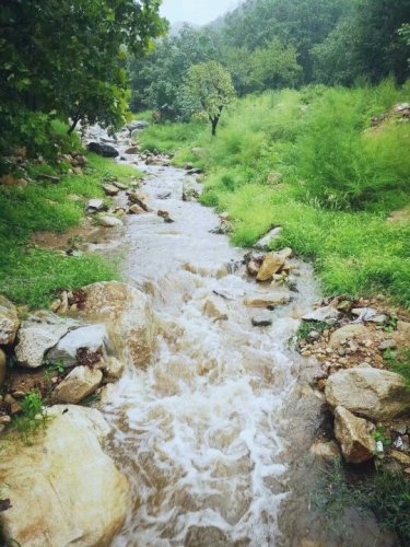 凤凰岭生态旅游区旅行图片 2