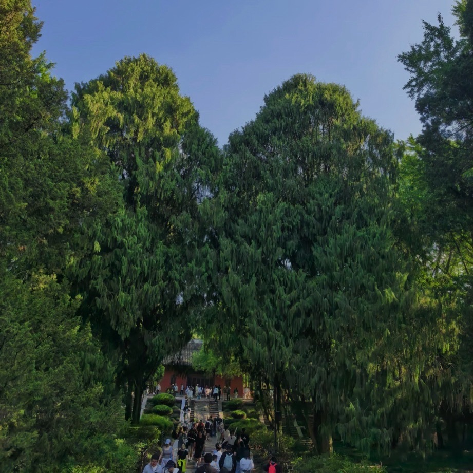 明孝陵 景点照片