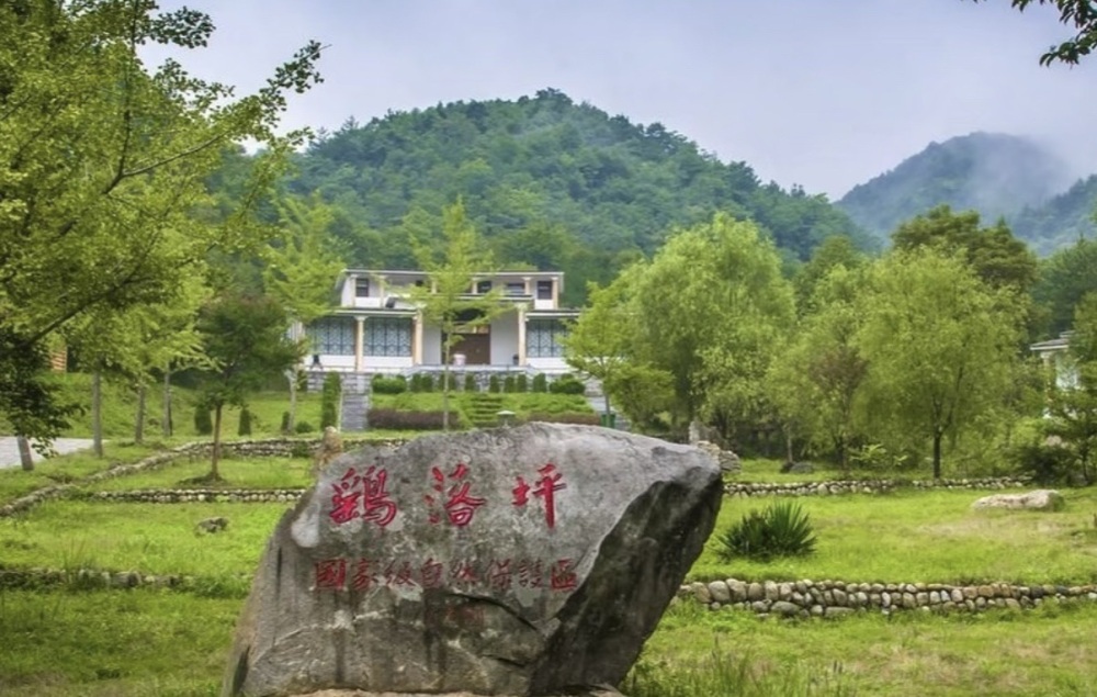 鹞落坪自然保护区景点图片