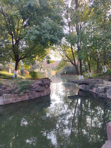 荆川公园-观景平台