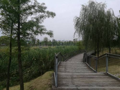 廖家沟城市中央公园(西区)旅行图片 3