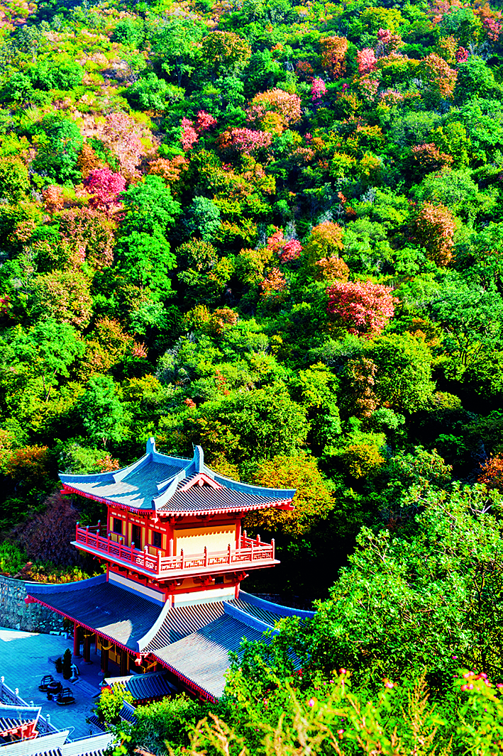 玉佛寺实景照片