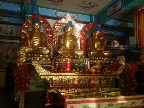 鲤龙潭森林公园旅行图片 2