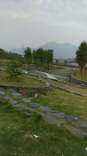 鹿城戍浦江公园旅行图片 2