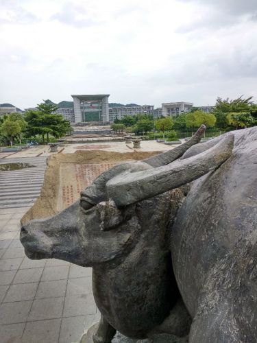 九牛爬坡旅行图片 2