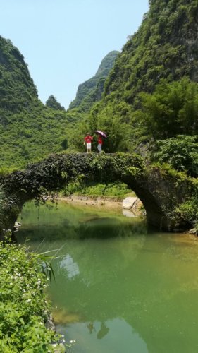 黄花公园旅行图片 1