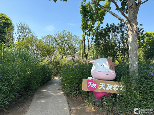 广阳岛·嗨森营地