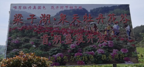 梁子湖·泉天牡丹花谷旅行图片 3