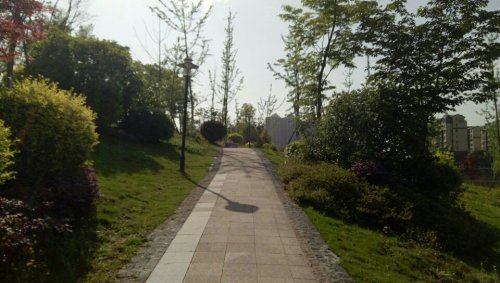 南湖公园旅行图片 1