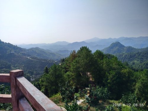 大埔蜜柚公园旅行图片 1