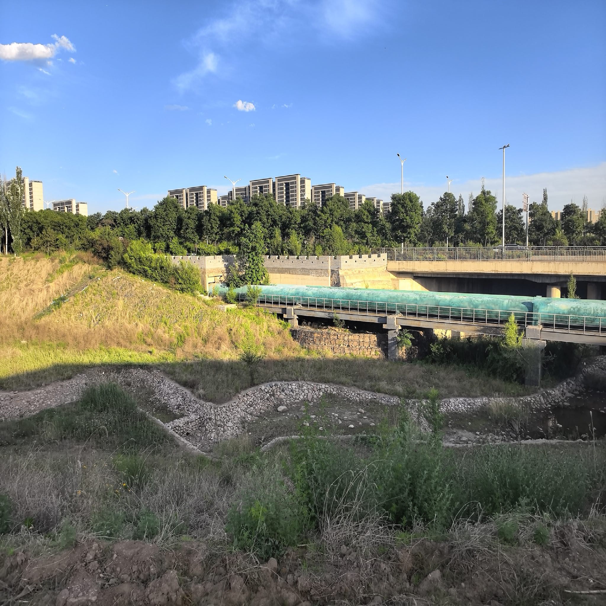 河口河公园