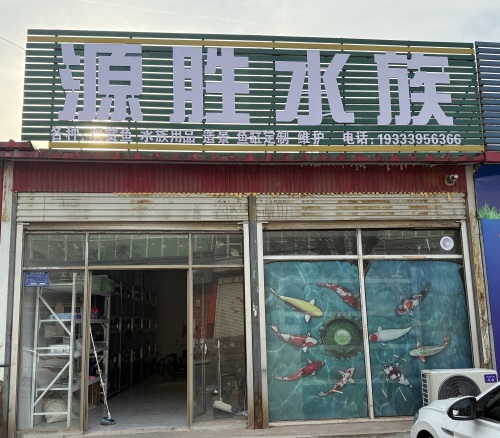源胜水族