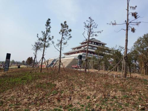 淇澳翠境园旅行图片 1
