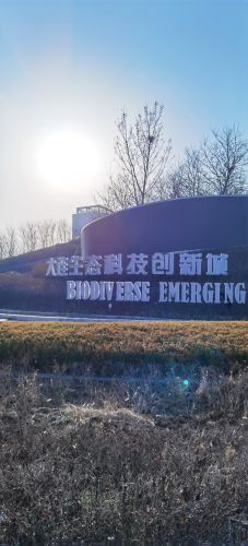 大连生态科技创新城实景图