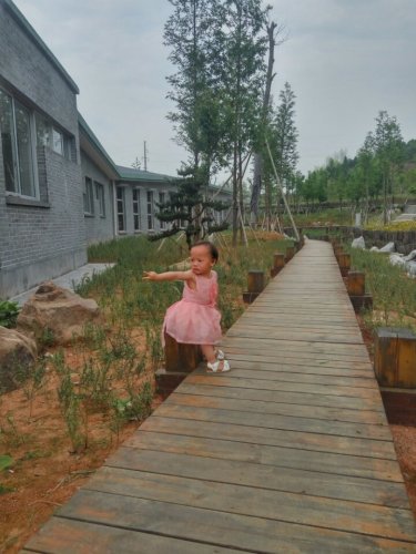 乐安县湿地公园旅行图片 1