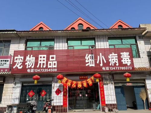 专治细小病毒犬瘟热