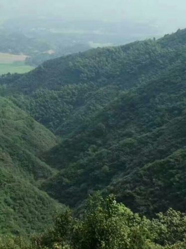 顶峰聚峰楼旅行图片 1