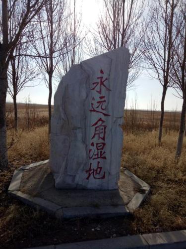 永远角湿地旅行图片 2