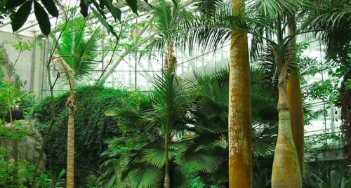 On-site photo 17 of Zhong Shan Botanical Garden