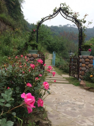 裸心湖旅行图片 2