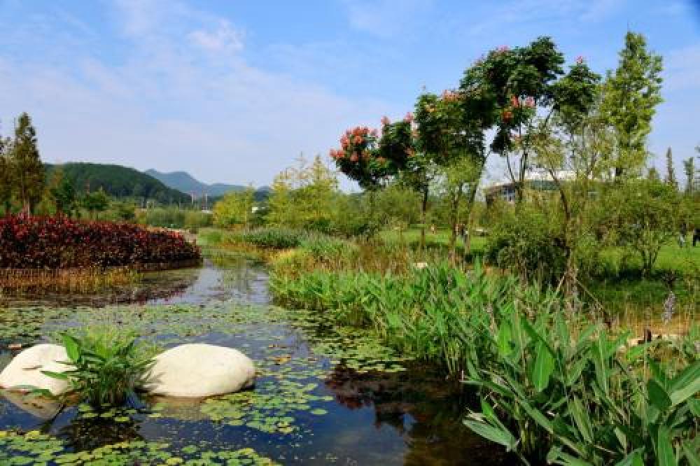 遵义市新蒲湿地公园景点图片